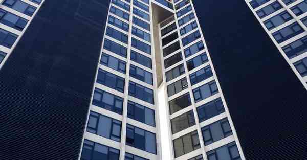 外国语单招大数据的行业文章