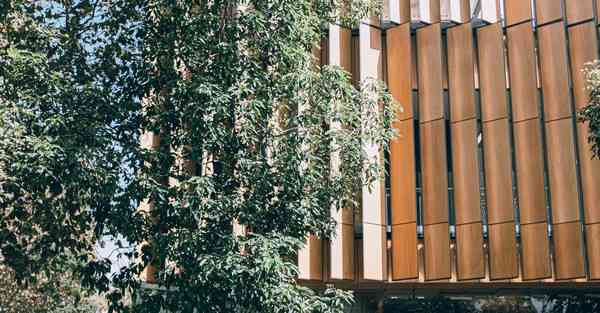 大数据判断数据变化趋势（大数据判断数据变化趋势分析）