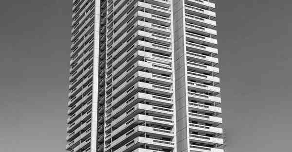 外国语单招大数据的行业文章