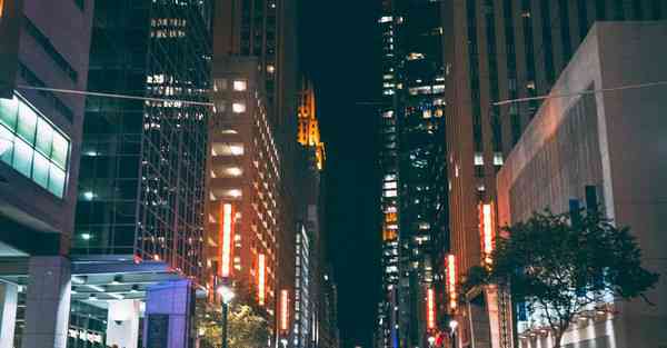 外国语单招大数据的行业文章