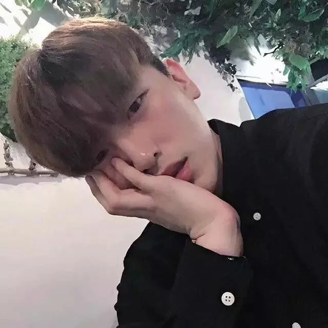 洪承成翔